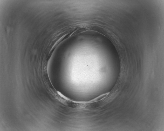 X0000078010096200611101832