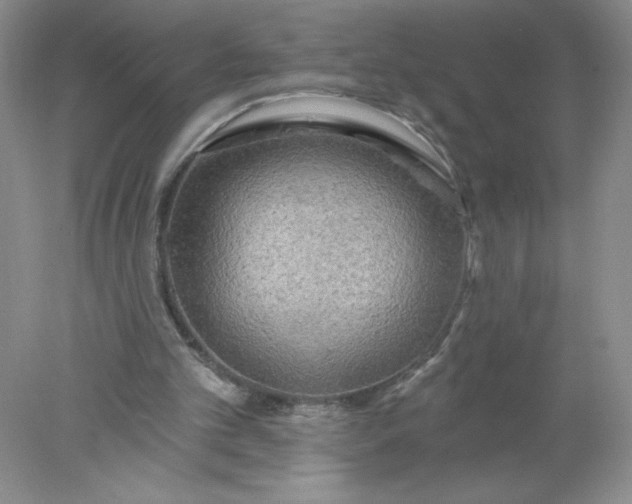 X0000078010101200611101831