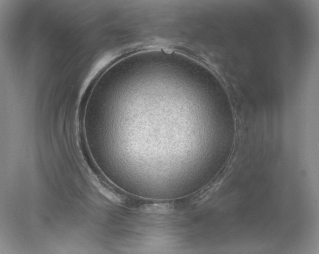 X0000078010102200611101831