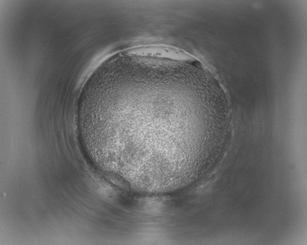 X0000078010103200611101831