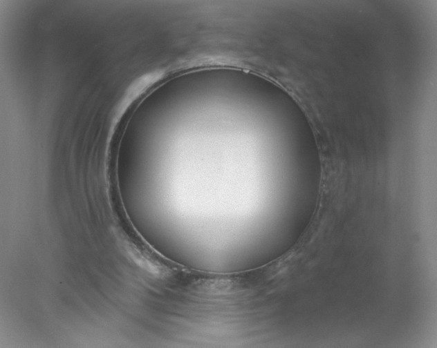 X0000078010104200611101831