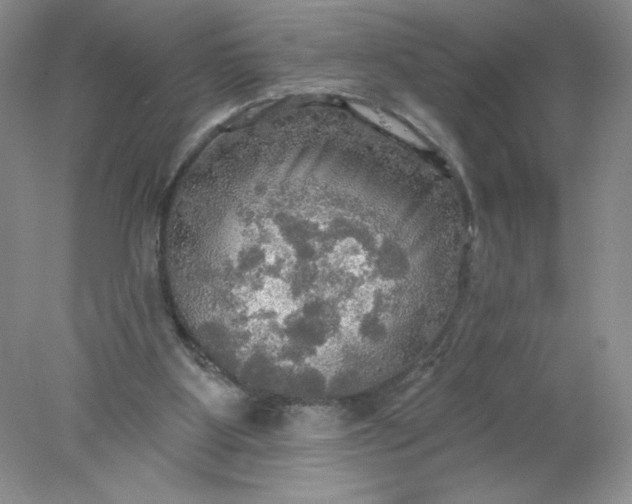 X0000078010107200611101831