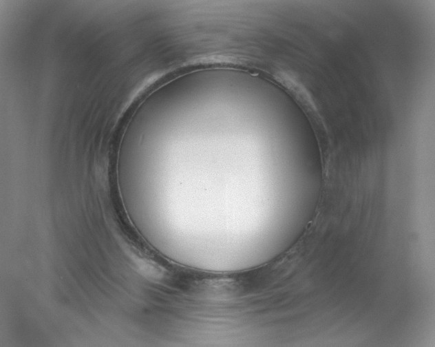 X0000078010108200611101831