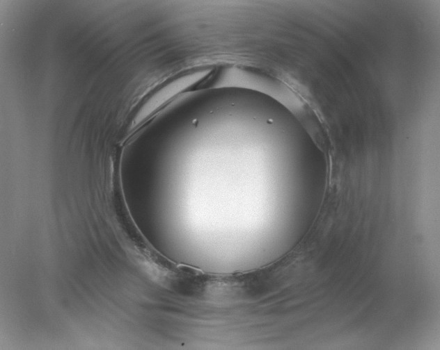 X0000078010109200611101831