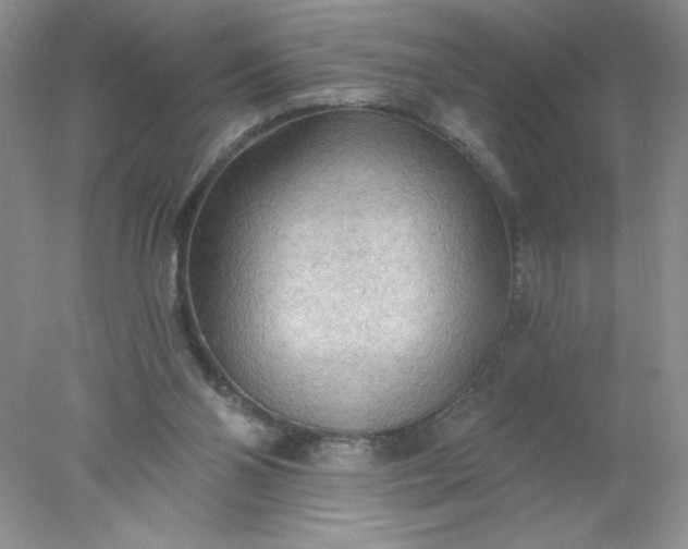 X0000078010110200611101831