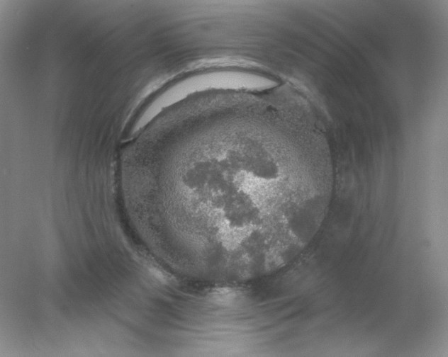 X0000078010111200611101831