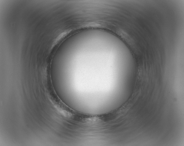 X0000078010112200611101831