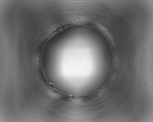 X0000078010113200611101831