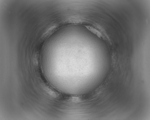 X0000078010114200611101831