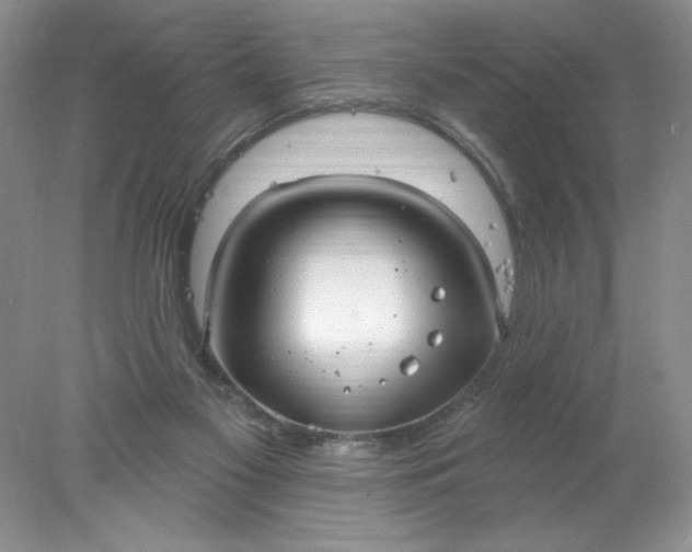 X0000078010117200611101831