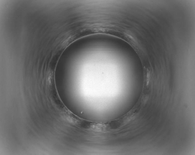 X0000078010125200611101831