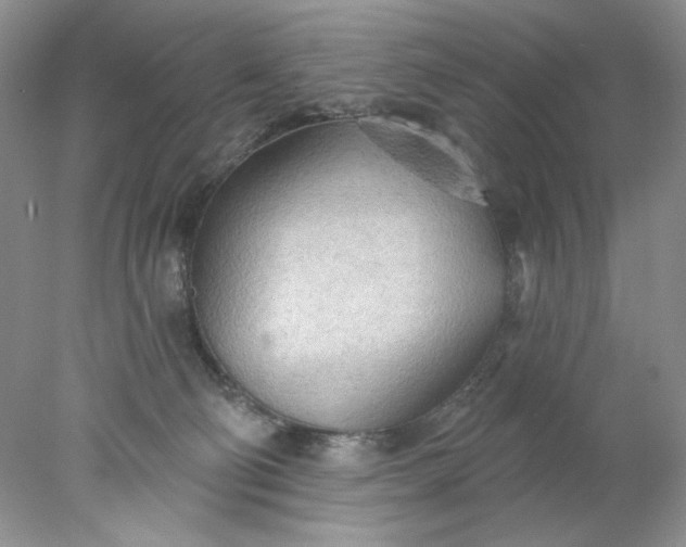 X0000078010130200611101831