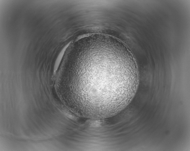 X0000078010131200611101831