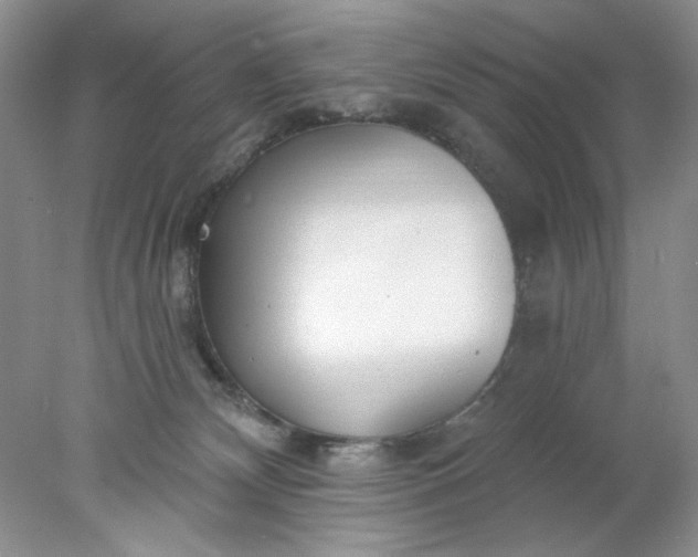 X0000078010132200611101831