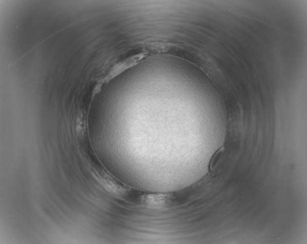 X0000078010134200611101831