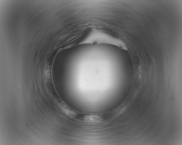 X0000078010137200611101830