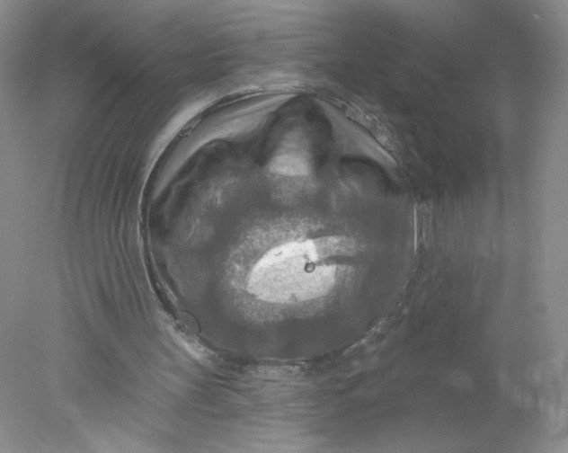 X0000078010147200611101830