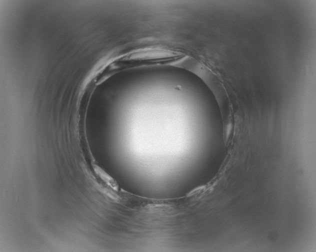 X0000078010150200611101830