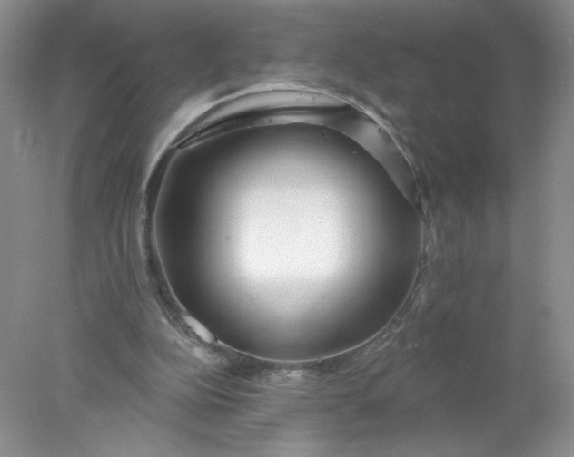 X0000078010152200611101830