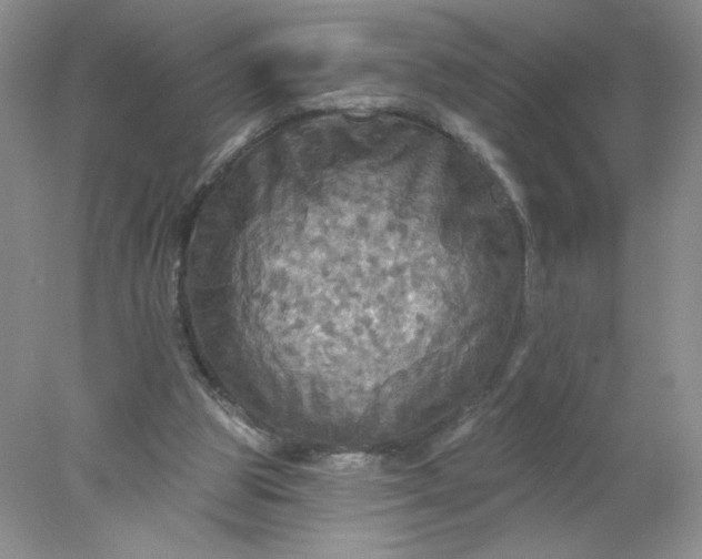 X0000078010153200611101830