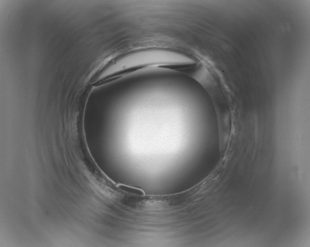 X0000078010154200611101830