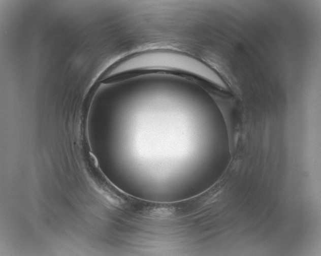 X0000078010156200611101830