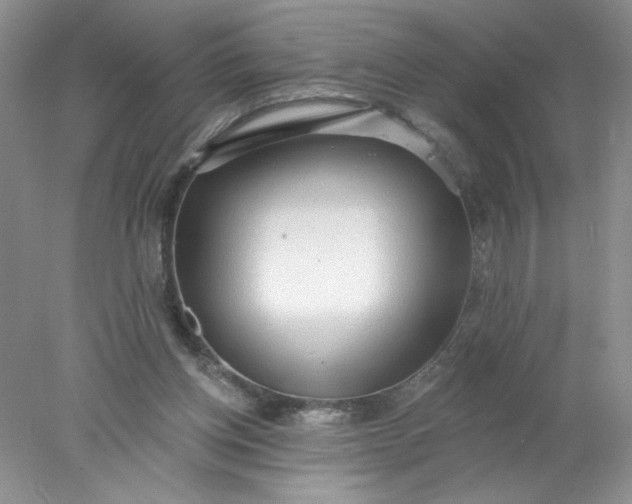 X0000078010158200611101830