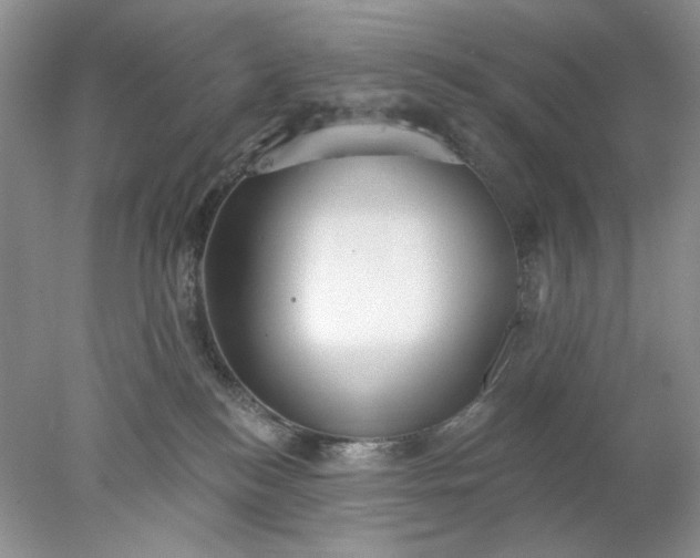 X0000078010184200611101830