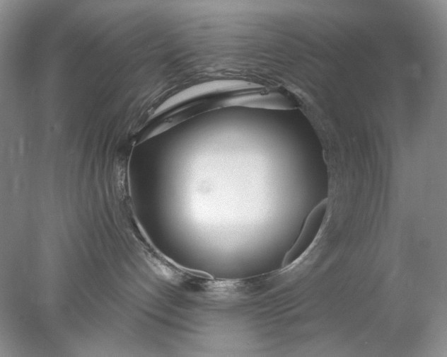 X0000078010192200611101830