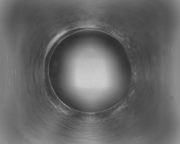 X0000078010200200611101829
