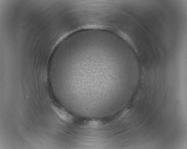 X0000078010204200611101829