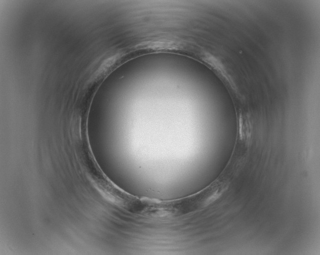 X0000078010205200611101829