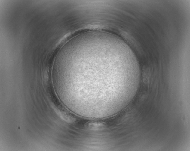 X0000078010208200611101829