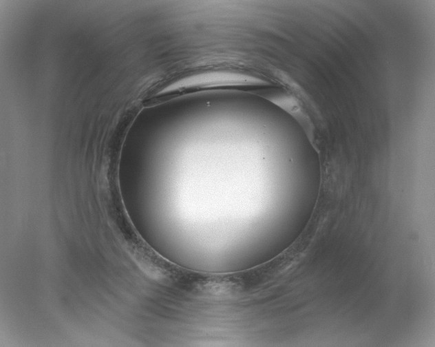 X0000078010209200611101829