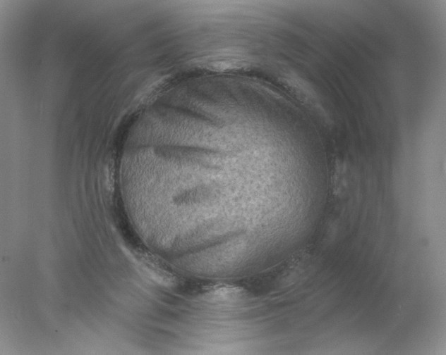 X0000078010210200611101829