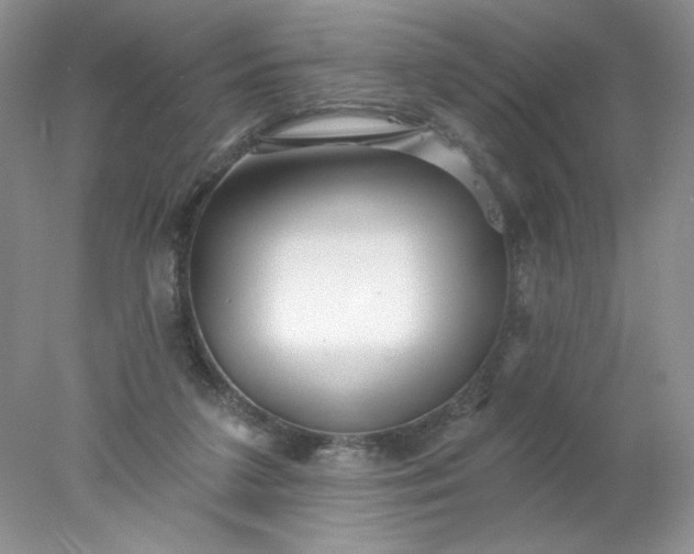 X0000078010211200611101829