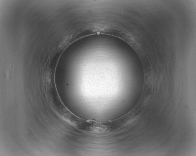 X0000078010215200611101829