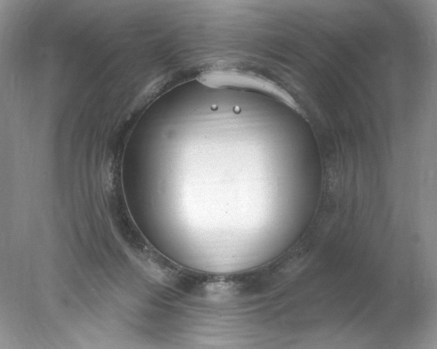 X0000078010216200611101829
