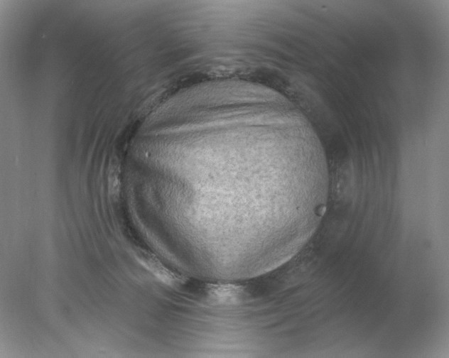 X0000078010226200611101829