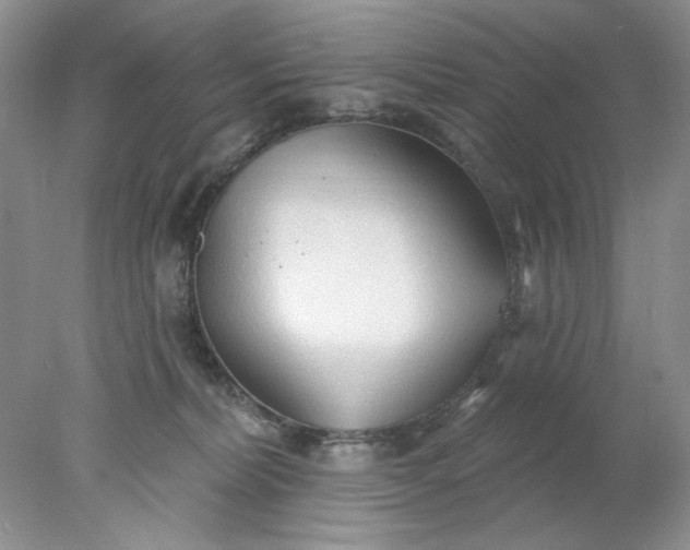 X0000078010228200611101829