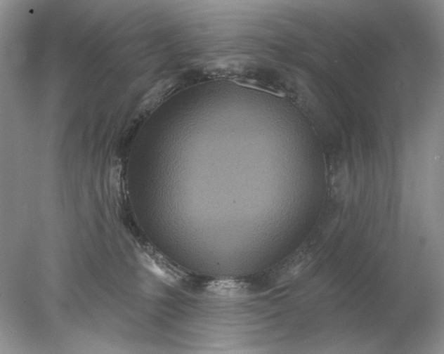 X0000078010231200611101829