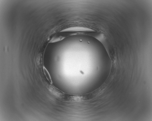 X0000078010233200611101829