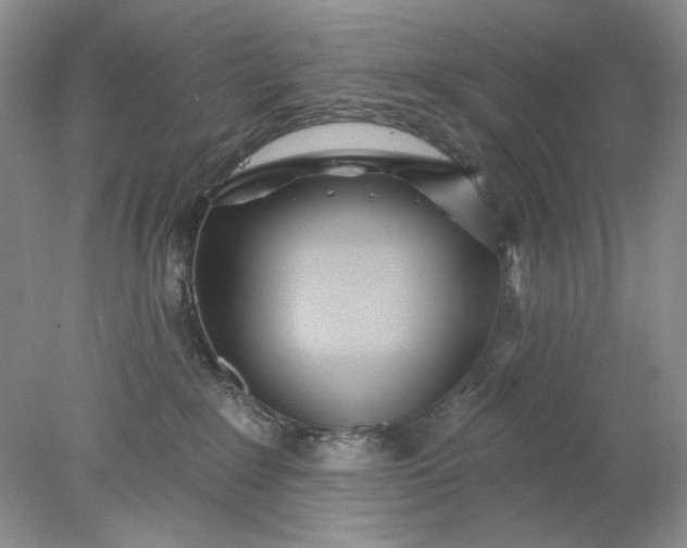 X0000078010235200611101829