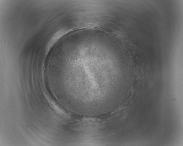 X0000078010242200611101828