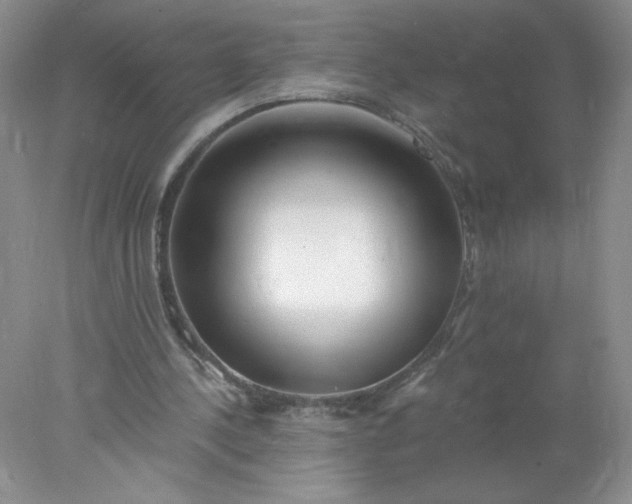 X0000078010244200611101828