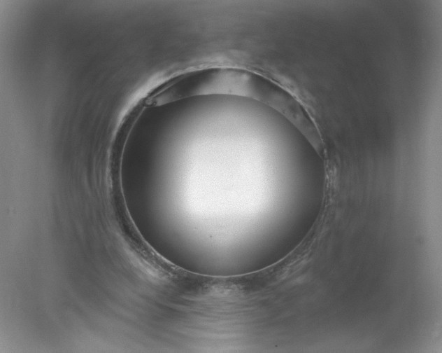 X0000078010248200611101828