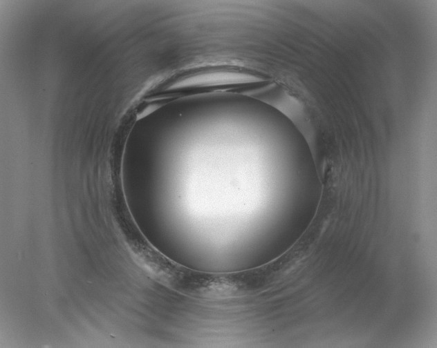 X0000078010256200611101828
