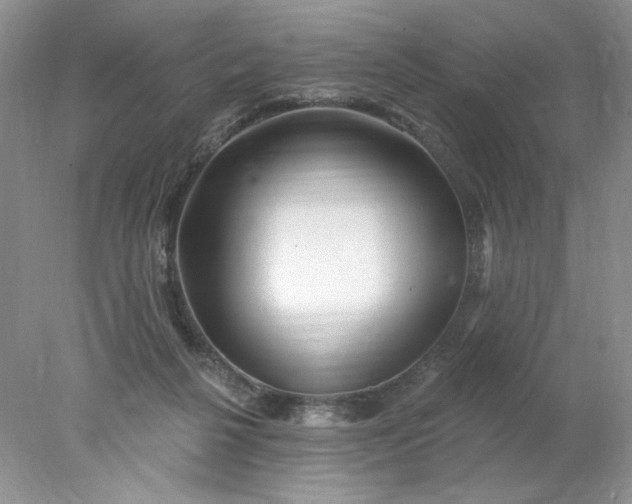 X0000078010264200611101828