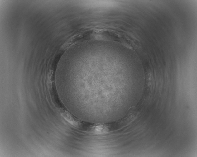 X0000078010275200611101829