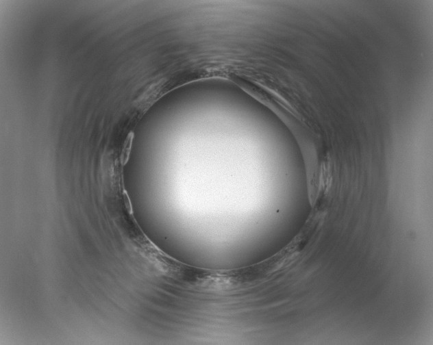 X0000078010276200611101829